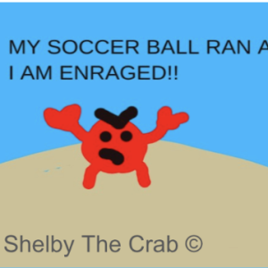 Digital Soccer Shelby